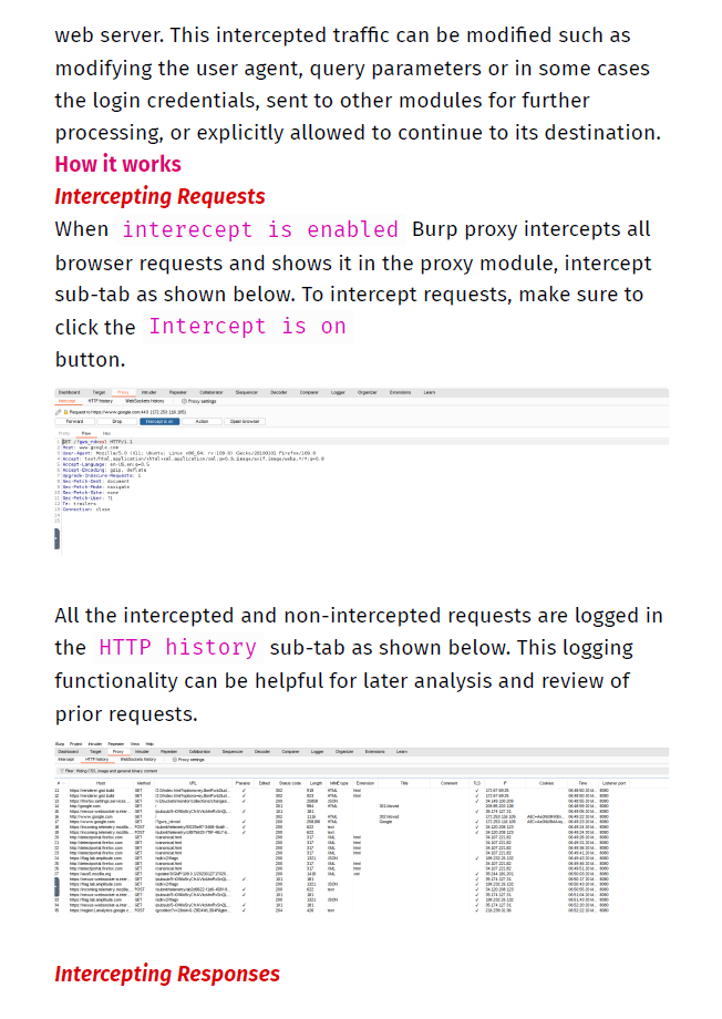 Burp Suite Practical Notes