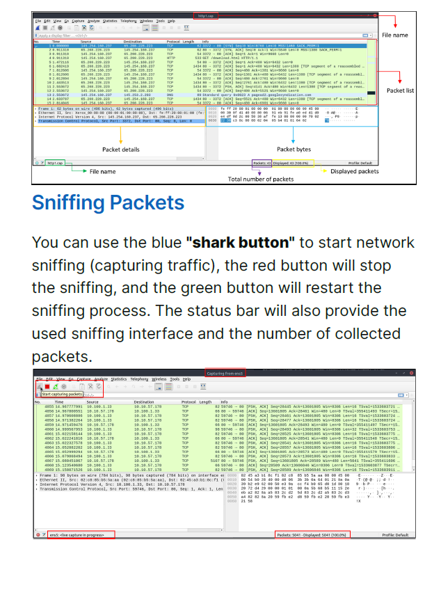 Wireshark Study Notes