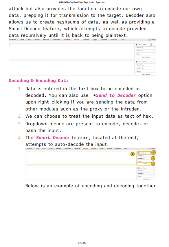 HackTheBox Certified Web Exploitation Specialist (HTB CWES) Study Notes