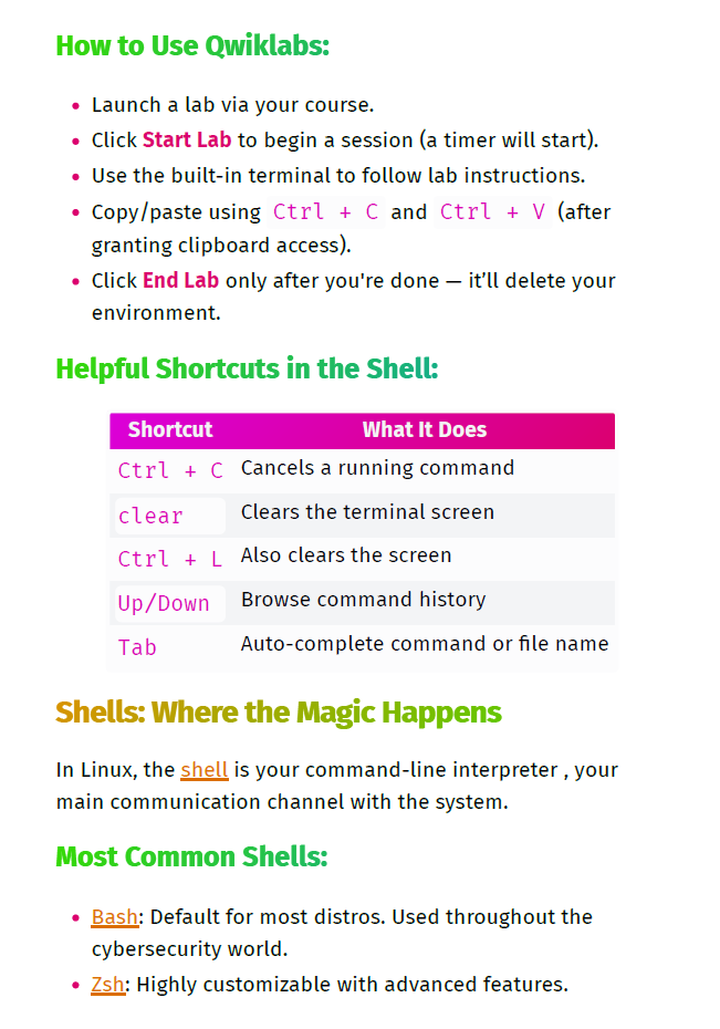 Google Cyber Security Professional Certificate Study Notes
