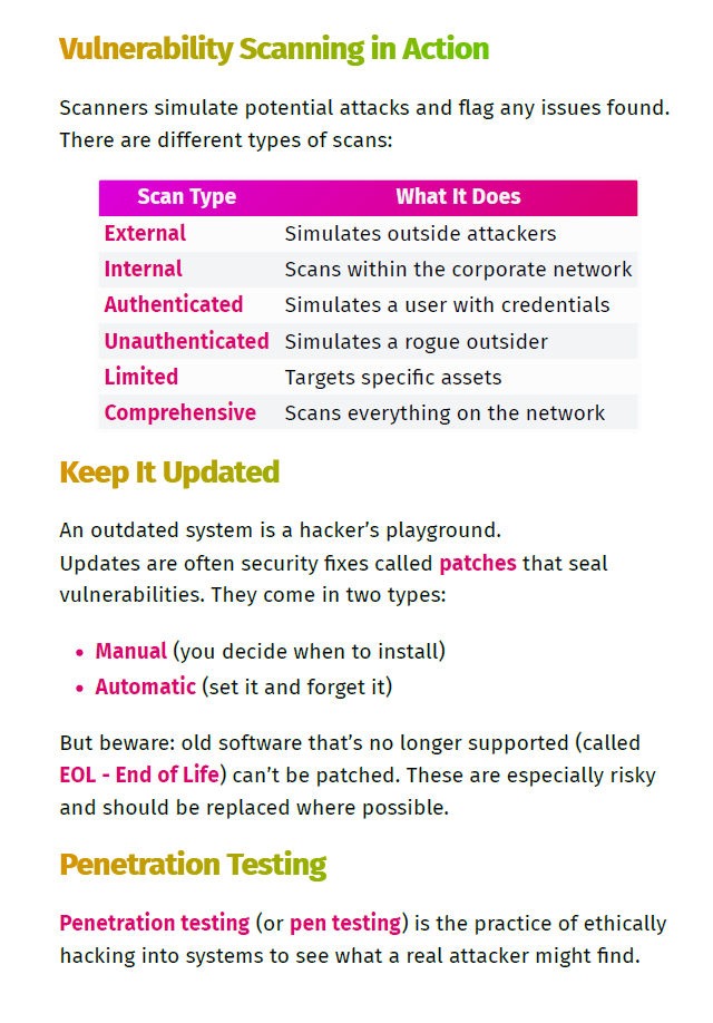 Google Cyber Security Professional Certificate Study Notes